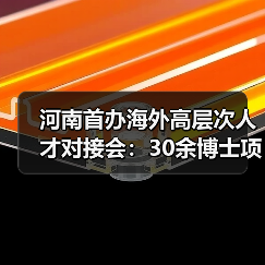 河南首办海外高层次人才对接会：30余博士项目亮相，引才效应凸显（图2）