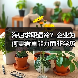 海归求职遇冷?企业为何更看重能力而非学历(图1) 海归求职遇冷?企业为何更看重能力而非学历(图1)