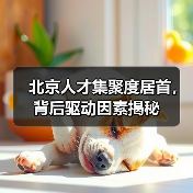 北京人才集聚度居首，背后驱动因素揭秘（图4）