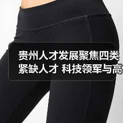 贵州人才发展聚焦四类紧缺人才 科技领军与高技能人才培养路径（图2）
