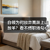 白领为何放弃高薪上山放羊？看不惯职场勾心斗角
