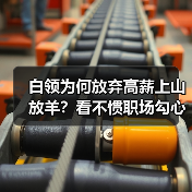 白领为何放弃高薪上山放羊？看不惯职场勾心斗角（图2）