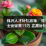株洲人才补贴政策:博士安家费15万 正高补贴20万(图2) 株洲人才补贴政策:博士安家费15万 正高补贴20万(图2)