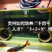 贵州如何培养“十百千”人才？“3+2+X”模式详解（图2）