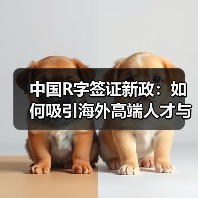中国R字签证新政:如何吸引海外高端人才与环保专家?(图4) 中国R字签证新政:如何吸引海外高端人才与环保专家?(图4)