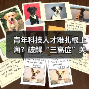 青年科技人才难扎根上海？破解“三高症”关键在哪儿？