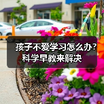 孩子不爱学习怎么办?科学早教来解决(图2) 孩子不爱学习怎么办?科学早教来解决(图2)