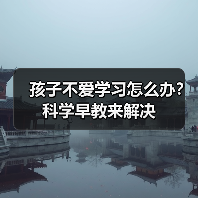 孩子不爱学习怎么办?科学早教来解决(图4) 孩子不爱学习怎么办?科学早教来解决(图4)