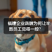 福建企业薪酬为何让半数员工觉得一般?(图3) 福建企业薪酬为何让半数员工觉得一般?(图3)