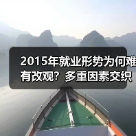 2015年就业形势为何难有改观？多重因素交织下挑战依旧