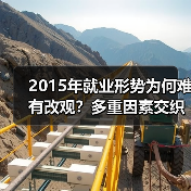 2015年就业形势为何难有改观？多重因素交织下挑战依旧（图2）