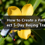 How to Create a Perfect 5-Day Beijing Travel Itinerary That Covers All the Highlights?（图1）