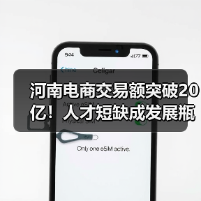 河南电商交易额突破20亿！人才短缺成发展瓶颈？（图2）