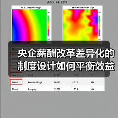 央企薪酬改革差异化的制度设计如何平衡效益与公平？