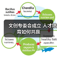 文创专委会成立 人才培育如何共赢