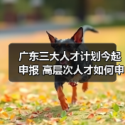 广东三大人才计划今起申报 高层次人才如何申请？（图2）