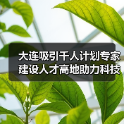 大连吸引千人计划专家建设人才高地助力科技创新