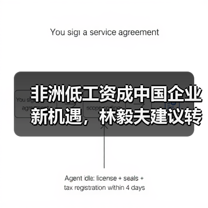 非洲低工资成中国企业新机遇，林毅夫建议转移产能（图4）