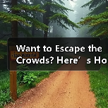 Want to Escape the Crowds? Here’s How to Explore Hejiang Yunhe Rice Terrace Like a Local（图2）