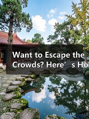 Want to Escape the Crowds? Here’s How to Explore Hejiang Yunhe Rice Terrace Like a Local（图3）
