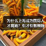 为什么上海成为国际人才高地？引才引智策略解析（图2）