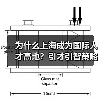 为什么上海成为国际人才高地？引才引智策略解析（图3）