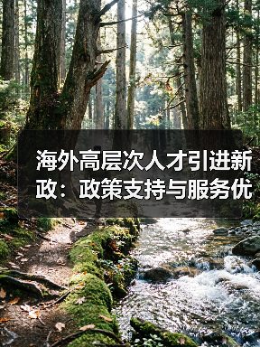 海外高层次人才引进新政：政策支持与服务优化如何提升竞争力？（图3）