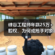 硅谷工程师年薪25万+股权，为何成抢手对象？（图2）
