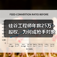 硅谷工程师年薪25万+股权，为何成抢手对象？（图4）