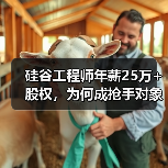 硅谷工程师年薪25万+股权，为何成抢手对象？（图3）