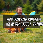 南宁人才安家费补贴升级 最高25万元！政策调整引热议（图4）