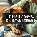 中印制造业合作升温，印度能否成中国低成本新中心？（图1）