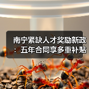 南宁紧缺人才奖励新政:五年合同享多重补贴(图2) 南宁紧缺人才奖励新政:五年合同享多重补贴(图2)