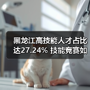 黑龙江高技能人才占比达27.24% 技能竞赛如何推动发展?(图3) 黑龙江高技能人才占比达27.24% 技能竞赛如何推动发展?(图3)