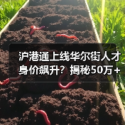 沪港通上线华尔街人才身价飙升?揭秘50万+抢夺战(图2) 沪港通上线华尔街人才身价飙升?揭秘50万+抢夺战(图2)