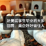赴美留学生毕业后大多回国,美企呼吁留住人才?(图4) 赴美留学生毕业后大多回国,美企呼吁留住人才?(图4)