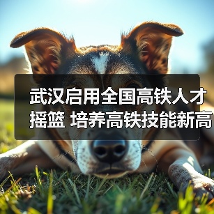 武汉启用全国高铁人才摇篮 培养高铁技能新高地(图4) 武汉启用全国高铁人才摇篮 培养高铁技能新高地(图4)