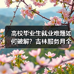 高校毕业生就业难题如何破解?吉林服务月全面启动(图2) 高校毕业生就业难题如何破解?吉林服务月全面启动(图2)