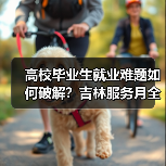 高校毕业生就业难题如何破解?吉林服务月全面启动(图4) 高校毕业生就业难题如何破解?吉林服务月全面启动(图4)