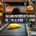 海归教授回国后为何频现“水土不服”？户籍问题成归国绊脚石（图2）