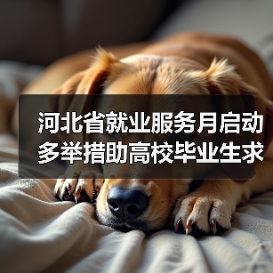 河北省就业服务月启动 多举措助高校毕业生求职(图2) 河北省就业服务月启动 多举措助高校毕业生求职(图2)