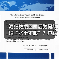 海归教授回国后为何频现“水土不服”？户籍问题成归国绊脚石（图4）
