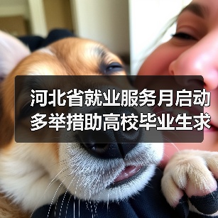 河北省就业服务月启动 多举措助高校毕业生求职(图4) 河北省就业服务月启动 多举措助高校毕业生求职(图4)