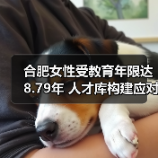 合肥女性受教育年限达8.79年 人才库构建应对就业挑战（图3）