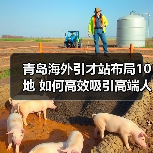 青岛海外引才站布局10地 如何高效吸引高端人才？（图1）