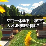 空海一体战下,海空军人才如何破局制胜?(图1) 空海一体战下,海空军人才如何破局制胜?(图1)