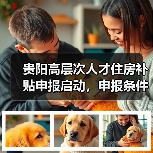 贵阳高层次人才住房补贴申报启动，申报条件是什么？（图2）
