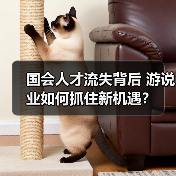 国会人才流失背后 游说业如何抓住新机遇?(图1) 国会人才流失背后 游说业如何抓住新机遇?(图1)