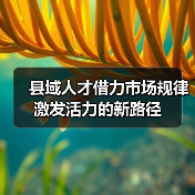 县域人才借力市场规律激发活力的新路径(图3) 县域人才借力市场规律激发活力的新路径(图3)