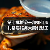 第七批援藏干部如何深扎基层服务大局创新工作模式(图4) 第七批援藏干部如何深扎基层服务大局创新工作模式(图4)